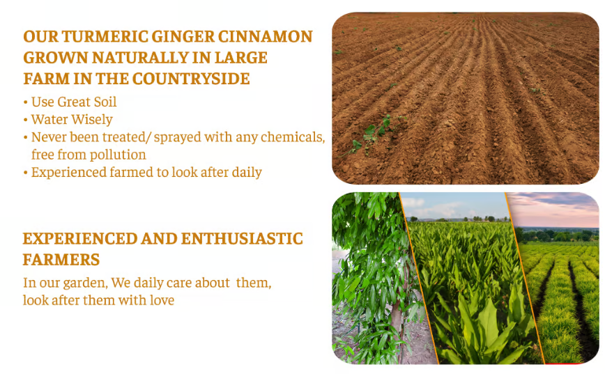 Turmeric Ginger Cinnamon Tea ~ Support digestion, calm inflammation, and relax naturally